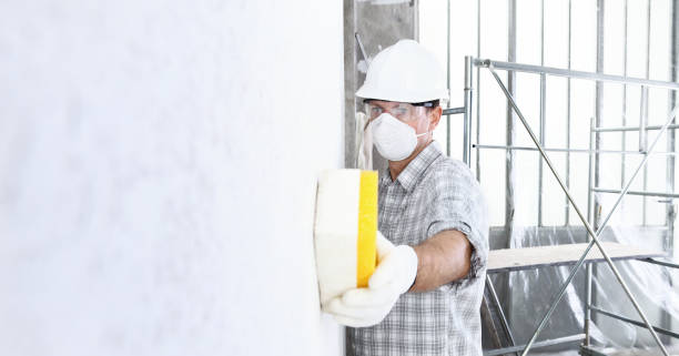 Best Mold Prevention Services  in Hutchinson, MN